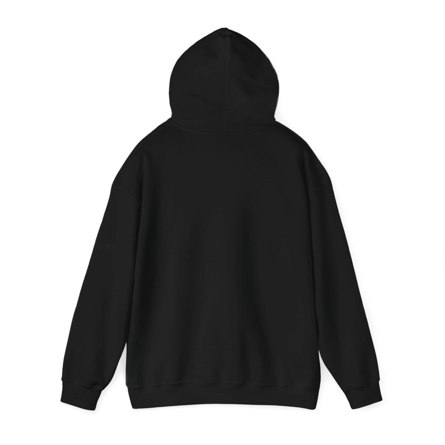 Issa Ali Official Logo Hoodie